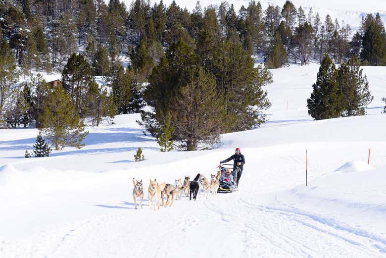 Having fun on the dog sled ride