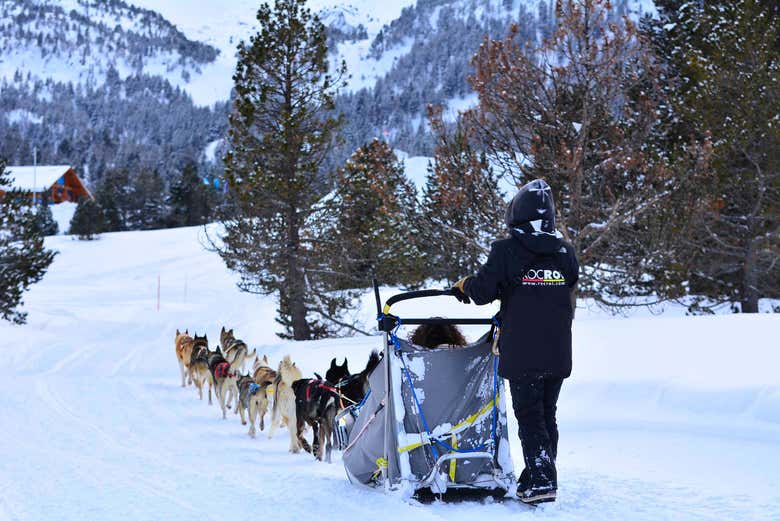 Experiencia en un trineo tirado por perros