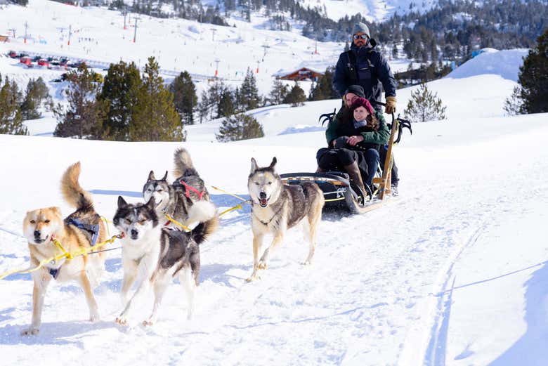 Enjoying the dog sled ride