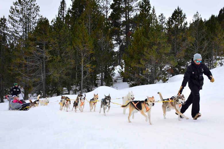 Aventura en trineo de perros