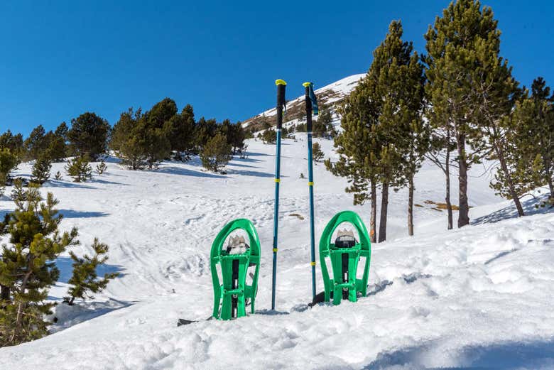 Raquetas clavadas en la nieve