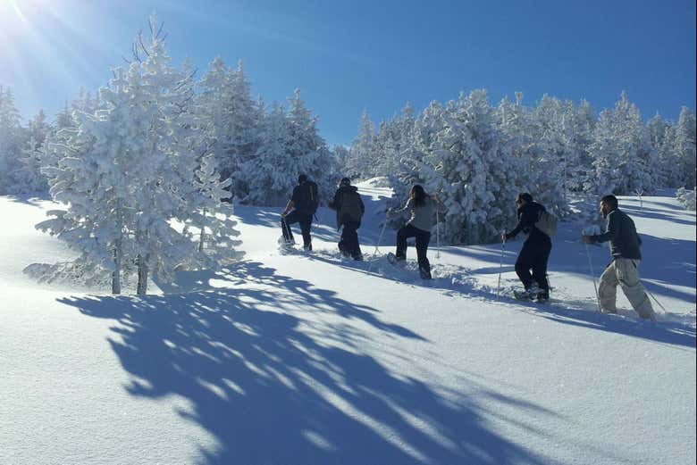 Aventura con raquetas de nieve en Grandvalira