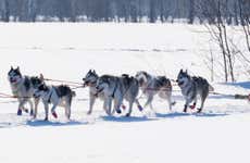 Grandvalira Dog Sled Ride