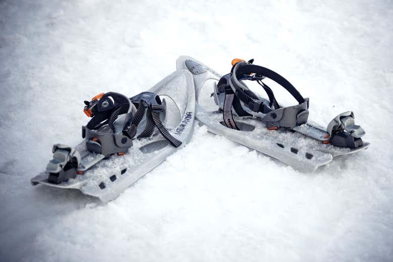 Raquetas de nieve