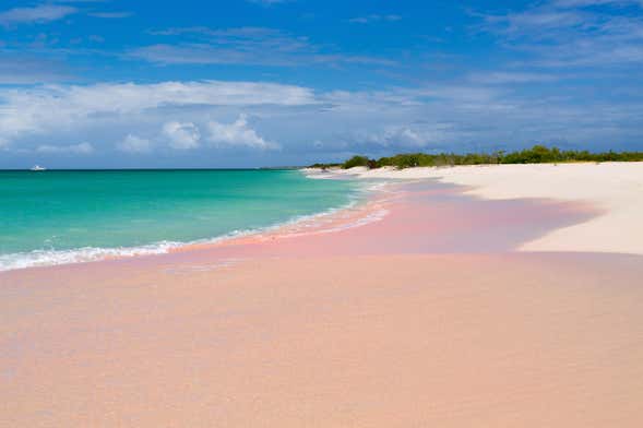 Day Trip to the Island of Barbuda