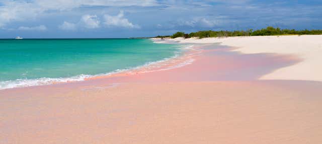 Day Trip to the Island of Barbuda