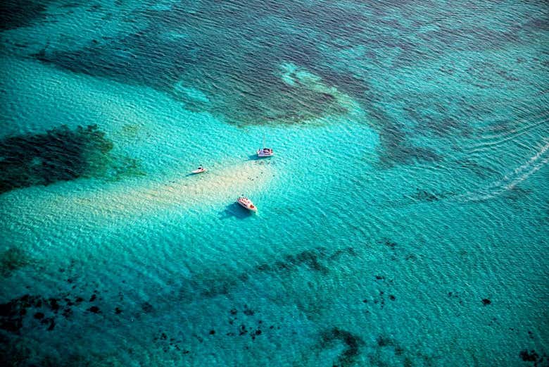 Vista aerea di Stingray City