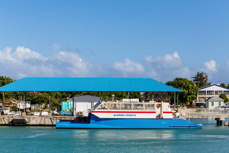 Tomaremos un ferry desde la isla de Antigua hasta Barbuda