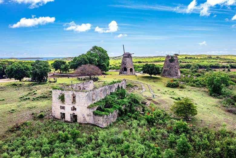 Visit a historic sugar cane plantation