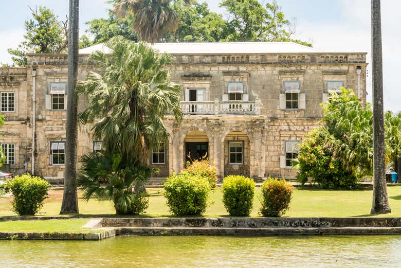 Paisajes de Codrington