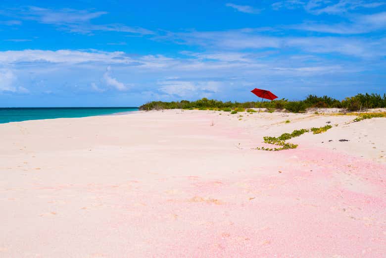 The striking Pink Sand Beach