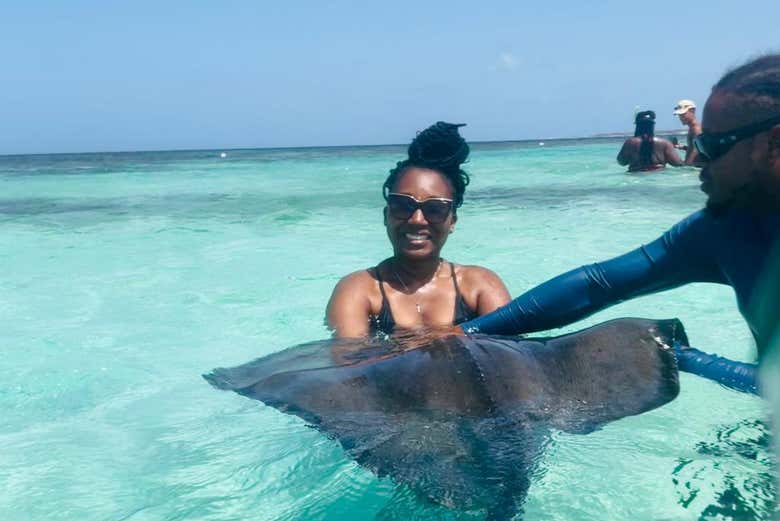 Conhecendo esses peixes gigantes