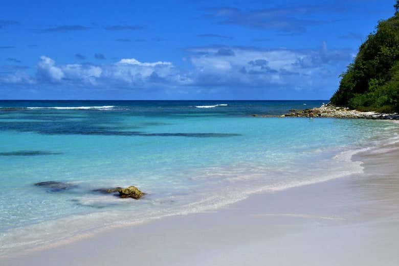Uma paisagem inesquecível da praia de Long Bay