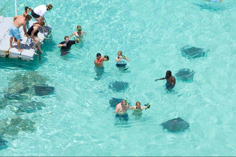 Baño con rayas en Stingray City