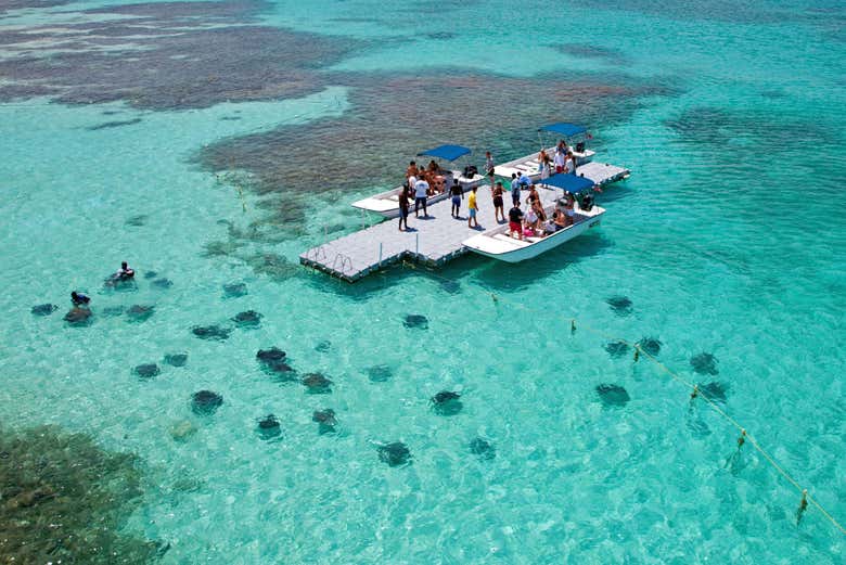 Plataforma de Stingray City