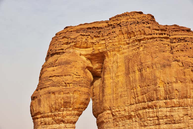 Al cospetto della Roccia dell'Elefante