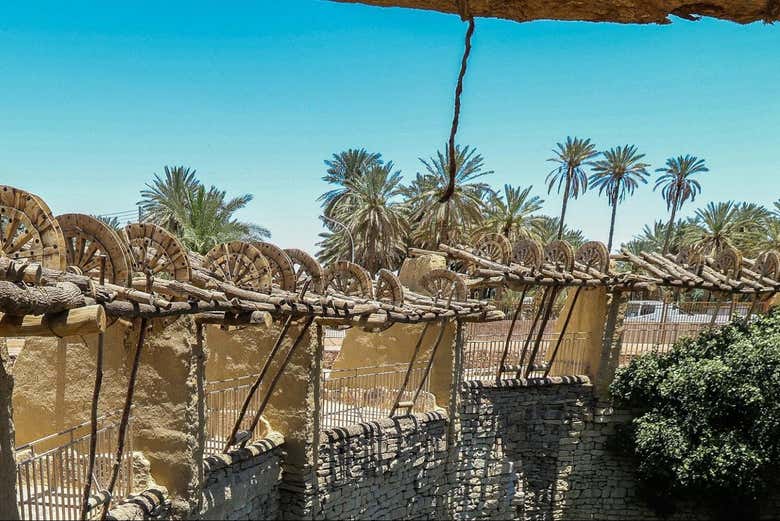 Percorrendo i dintorni di Tayma