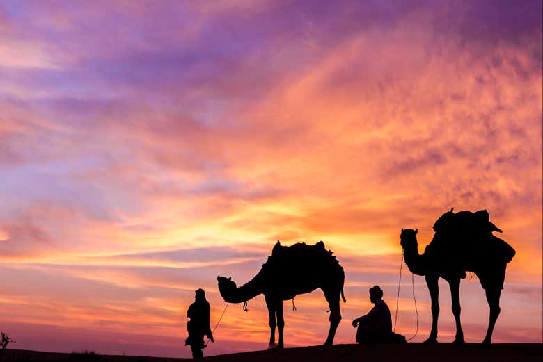 Chameaux au coucher du soleil dans le désert