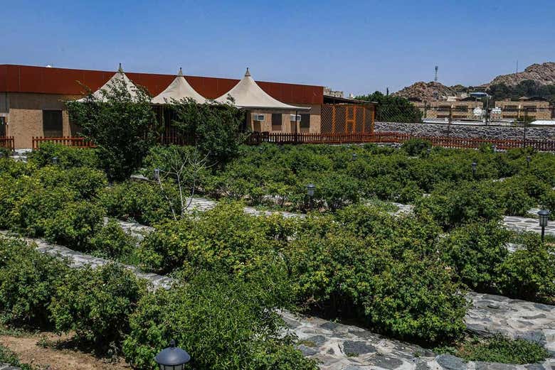 Il giardino di una fabbrica di profumi a Ta'if