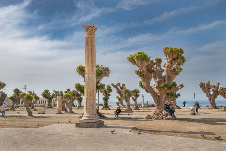 Columna romana de Cherchell