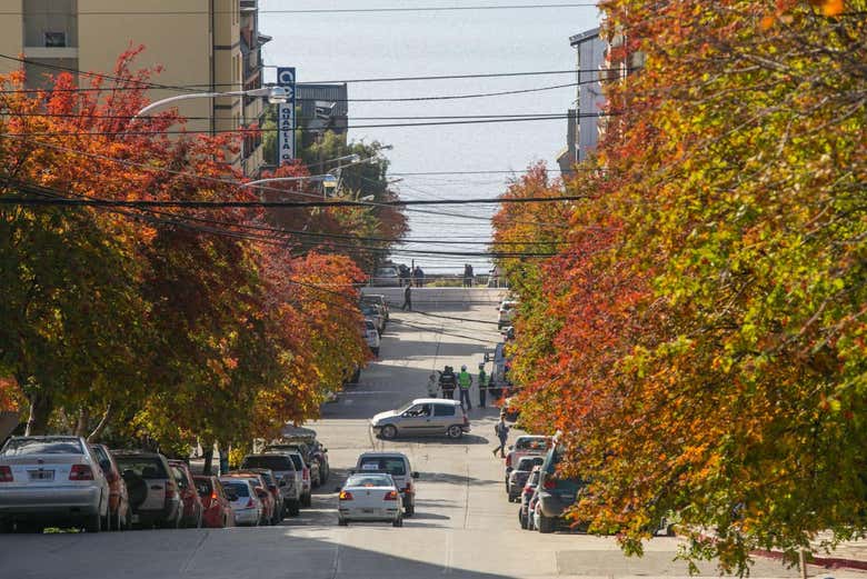 Calle del centro de Bariloche