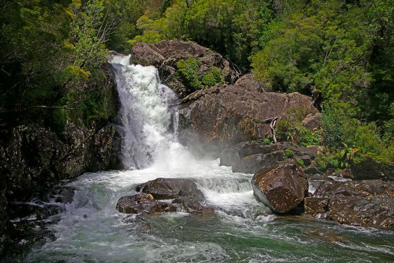 Cascada de Los Alerces