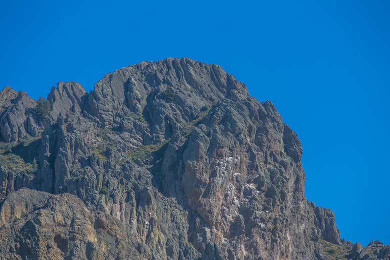 Estaréis en un entorno único