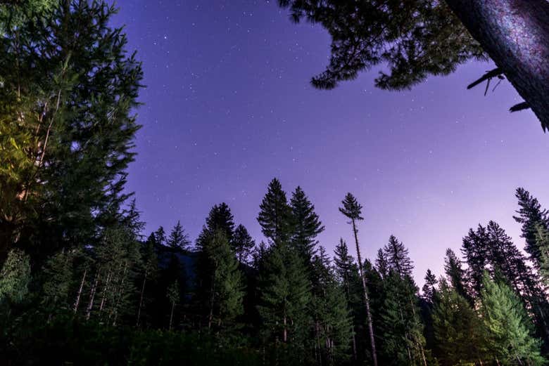 Admire the starry night