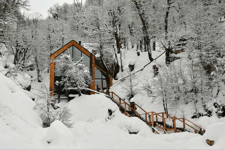 Paisagens no bosque nevado