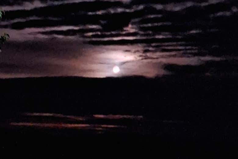A la luz de la luna