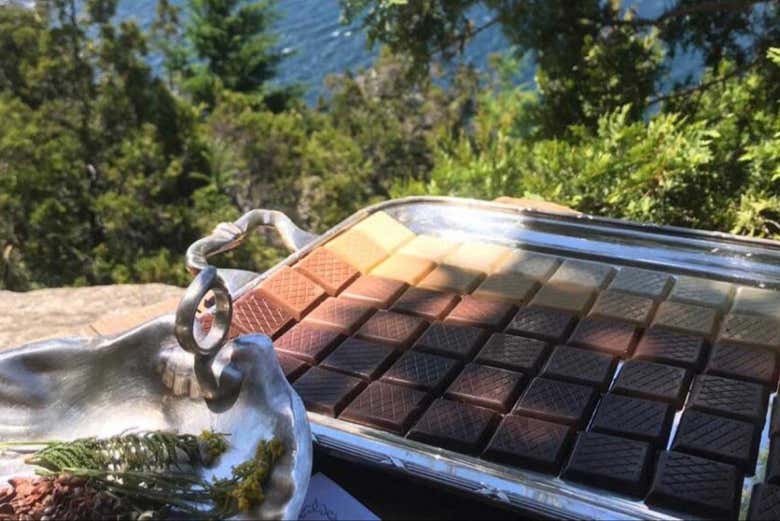 Las tabletas de chocolates en la bandeja