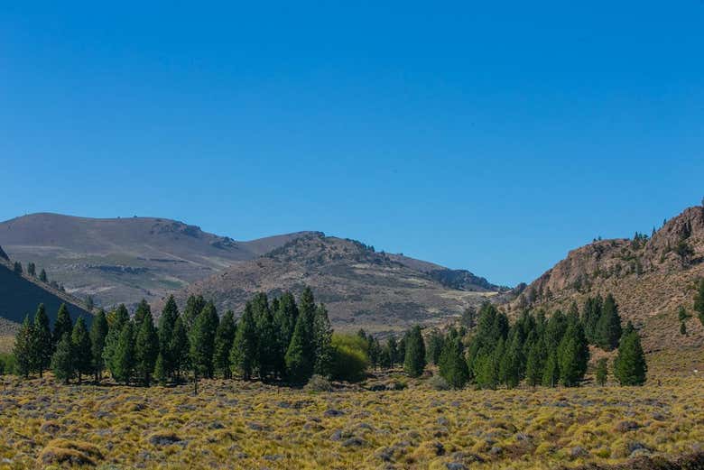 Explore the surrounding area of the San Ramón Ranch