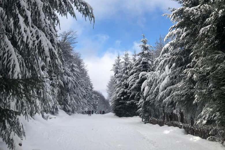 As trilhas do Winter Park