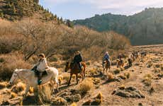 Paseo a caballo por La Fragua de la estancia San Ramón