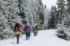 Passeio com raquetes de neve por Winter Park