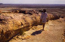Petrified Forest Private Trip