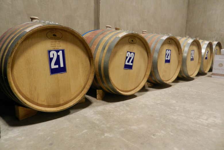 Calingasta Valley winery