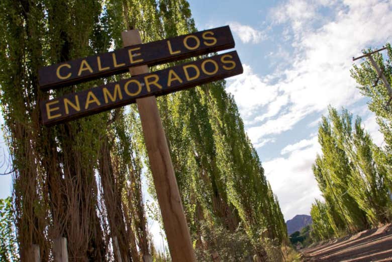 Calle de Los Enamorados in Barreal