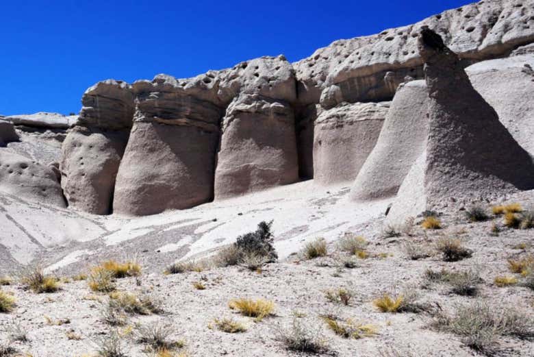 Rocas areniscas en los hongos de Tocota