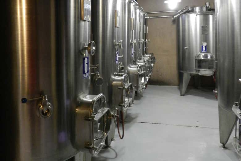 The instalations of the winery