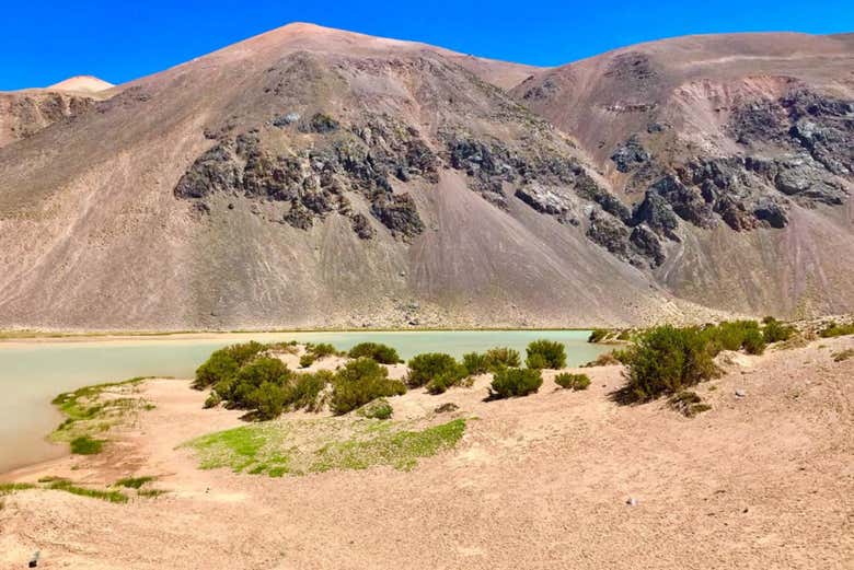 Paisajes andinos de la Laguna Blanca