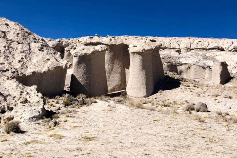 Paisajes de los hongos blancos de Tocota