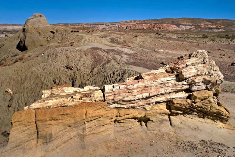 The landscapes of the Petrified Forest