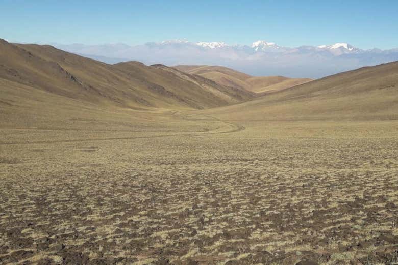 The landscapes of Sierra del Tontal