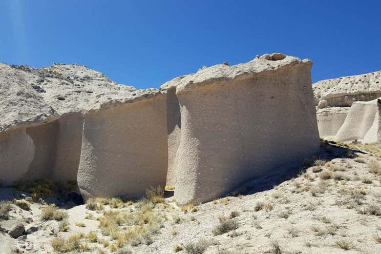 Panorámica de los hongos de Tocota