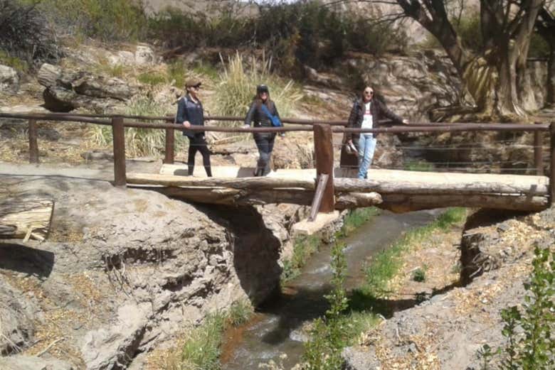 Randonnée dans le Parc National El Leoncito