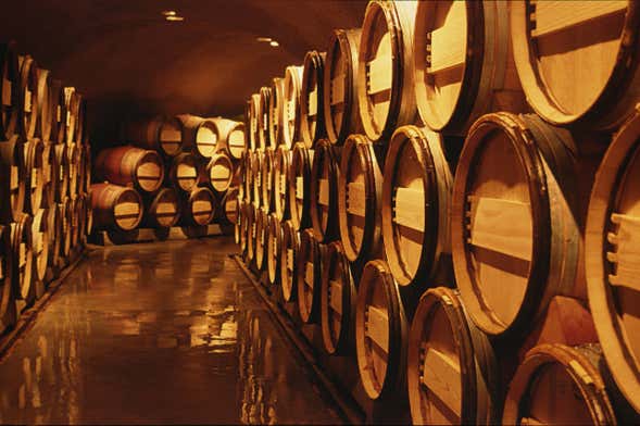 Tour privado por el Valle de Calingasta + Cata de vinos
