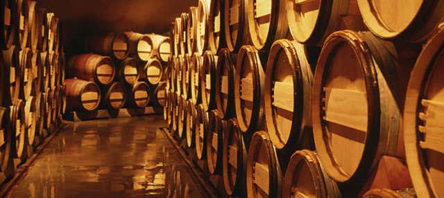 Tour privado por el Valle de Calingasta + Cata de vinos