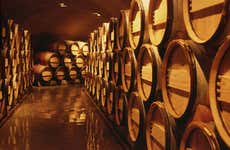 Calingasta Valley Private Tour and Wine Tasting
