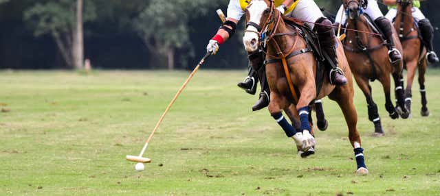 Polo Match in Buenos Aires with a Local Guide
